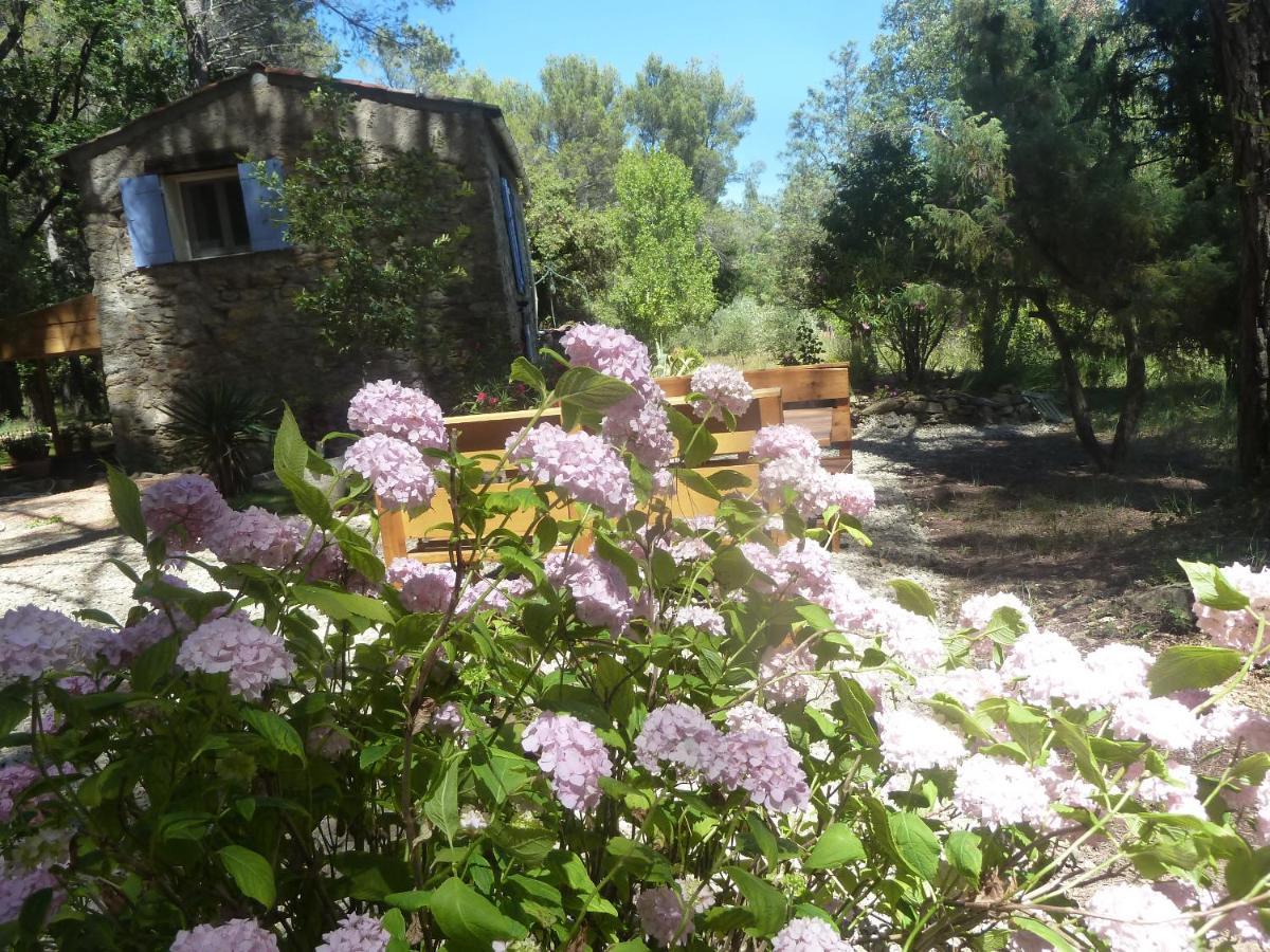Villa Les Oliviers Draguignan Luaran gambar